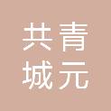 共青城元沣投资合伙企业（有限合伙）