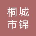 桐城市锦瑞电子科技有限公司