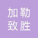 四川加勒致胜科技有限公司