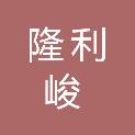 西安隆利峻信息科技有限公司