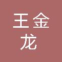 王金龙