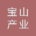 铜陵市宝山产业总公司