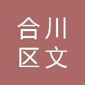合川区文达电脑维修部