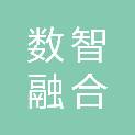 重庆数智融合创新科技有限公司
