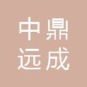 北京中鼎远成科技发展有限公司