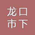 龙口市下丁家镇人民政府