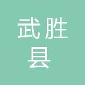 武胜县飞龙镇人民政府