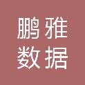 深圳市鹏雅数据有限公司