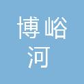 甘肃省博峪河林业开发有限责任公司