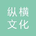 深圳市纵横文化投资有限公司