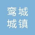 福建鸾城城镇建设投资有限公司