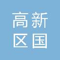 内江市高新区国鑫小额贷款有限责任公司