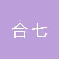 安徽合七电子科技有限公司