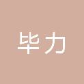 四川毕力机电工程有限公司