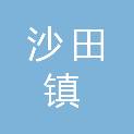 东莞市沙田镇先锋股份经济联合社