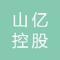 山东山亿控股集团有限公司