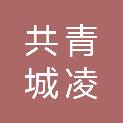 共青城凌汤投资合伙企业（有限合伙）