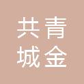 共青城金富投资合伙企业（有限合伙）