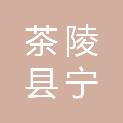 茶陵县宁存军日用百货店