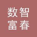 杭州数智富春科技有限公司