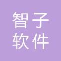 甘肃智子软件有限责任公司