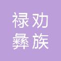 禄劝彝族苗族自治县团街镇人民政府