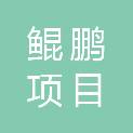 内蒙古鲲鹏项目管理咨询有限责任公司