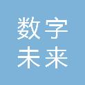 马鞍山数字未来产业投资有限公司