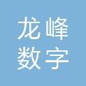 山东龙峰数字科技有限公司