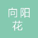 上海向阳花青年公益社