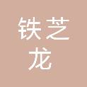 武汉铁芝龙工程技术有限公司