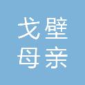 新疆戈壁母亲建设工程有限公司
