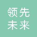 内蒙古领先未来科技有限公司