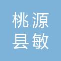 桃源县敏智科技有限公司