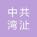 中共芜湖市湾沚区委社会工作部