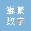 山东鲲鹏数字科技有限公司