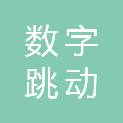 南京数字跳动网络技术有限公司