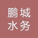 深圳市鹏城水务技术有限公司
