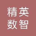 内蒙古精英数智科技发展有限公司