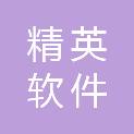 镇江精英软件科技有限公司