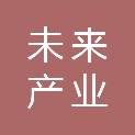 武汉市未来产业创新发展有限公司