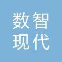 上海数智现代联合信息咨询发展有限公司