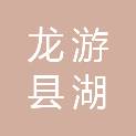 龙游县湖镇镇人民政府