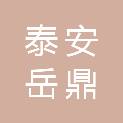 山东泰安岳鼎经贸有限公司