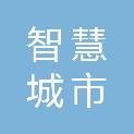德州智慧城市运营管理有限公司