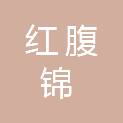 成都红腹锦科技有限公司