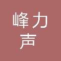 深圳市峰力声医疗器械有限公司
