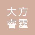 大方睿霆职业技术培训学校有限公司
