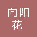 成都市向阳花社会工作服务中心