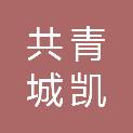 共青城凯隆投资合伙企业（有限合伙）